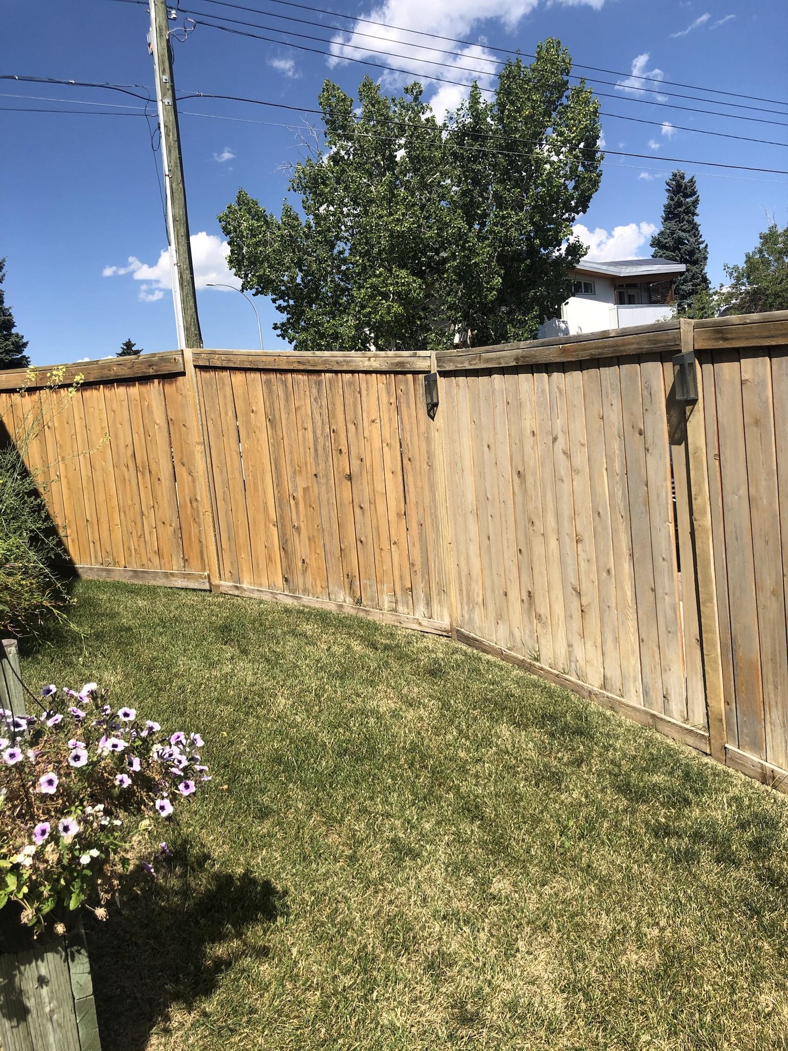 How to Properly Maintain Your Fence